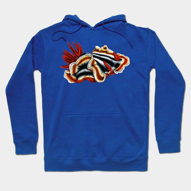 Nudibranch Hoodie by lorendowding